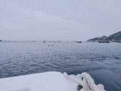 -枸杞岛
