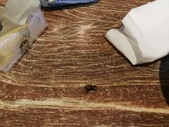 -亿百顺红焖羊排小馆(总店)