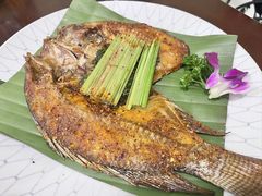 香茅草烤罗非鱼-紫滇源云南生态菜(丹凤街店)