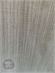 -型色沙龙 Color Salon