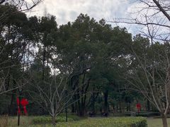 -徐家汇源景区-衡山公园