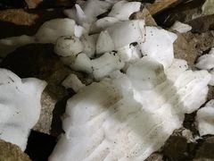 -秦岭终南山世界地质公园翠华山景区