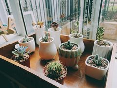 -吃饼人西餐(南开店)