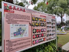 -金花茶公园