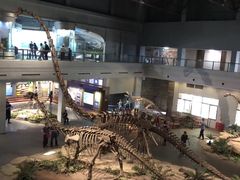 -自贡恐龙博物馆