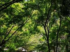 -崂山巨峰游览区