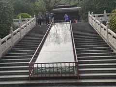 -鼎湖山风景区