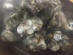 -蚝专家(北滘店)