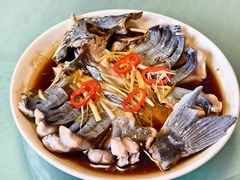 -煲来饱去冷水鱼