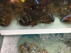 -盒马鲜生(大成店)