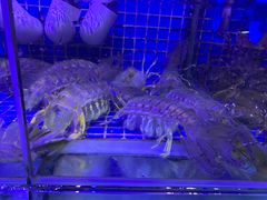 -青蓬蒸汽海鲜·深圳老字号·团建聚会(壹方城店)