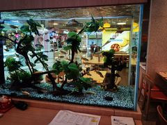 -大家乐(惠州华贸店)