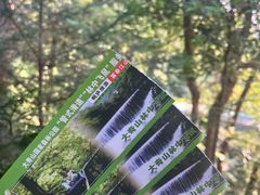-大奇山国家森林公园