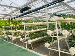 -兴芮温泉度假区