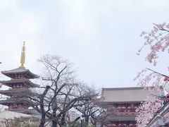 -浅草寺
