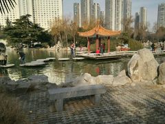 -西苑公园