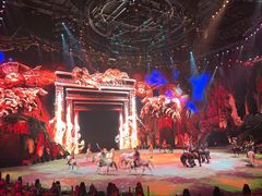 -珠海横琴长隆《卡卡虎奇遇记》