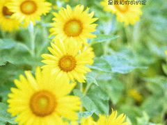 -杭州城北体育公园