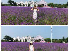 -渔岛海洋度假区