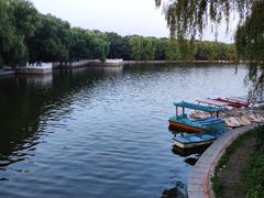-北陵公园
