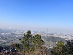 -树山生态村