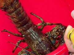 -旺角小渔村(二马路店)