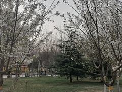 -西清公园