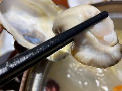 -千岛蚝高压锅生蚝·人参火锅(白云万达店)