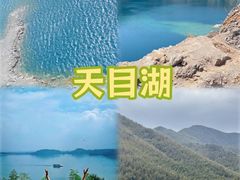 -紫藤园·天目湖大鱼头(南山竹海店)