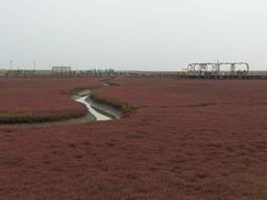 -红海滩国家风景廊道