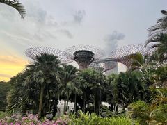 -Pazzion(Wisma Atria)