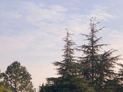 -白塘生态植物园