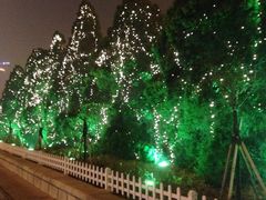 -云海肴·汽锅鸡·云南菜(天津国金汇店)