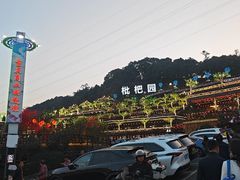 -枇杷园食为鲜火锅(南山店)