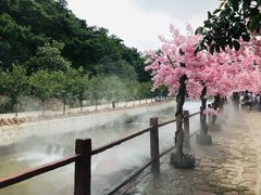 -山叶口景区