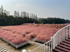 -嘉北郊野公园