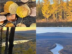 -北极村旅游风景区