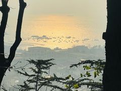 -来之顺海鲜菜馆·青岛菜·始于1993(栈桥店)