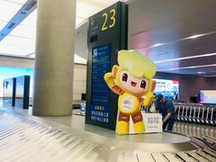 -温州龙湾国际机场