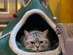 -H立方实景剧情密室(天河旗舰店)