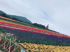-东部华侨城