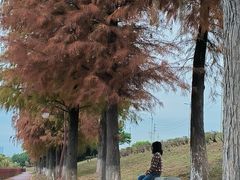 -鹤之洲湿地公园