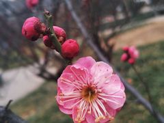 -山东大学(趵突泉校区)