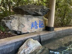 -腾冲洞山温泉村