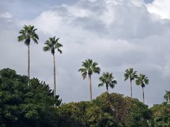 -涉地可支