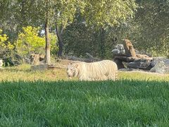 -北京野生动物园