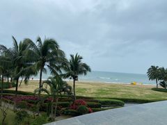 -元素中餐厅.海南菜.粤菜.椰子鸡.海鲜.包房.石梅湾威斯汀度假酒店