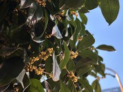 -温岭人家(红花北路店)