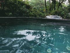 -碧桂园润杨溪谷温泉酒店