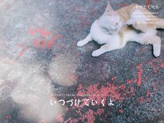 -黄桷坪涂鸦艺术街